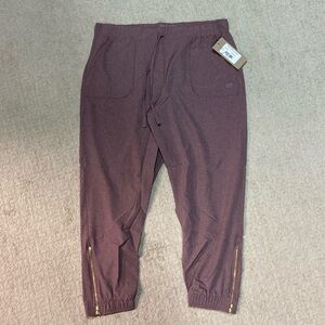 EUC| Heather Maroon Albion Fit Jetsetters with Gold Zipper Accents